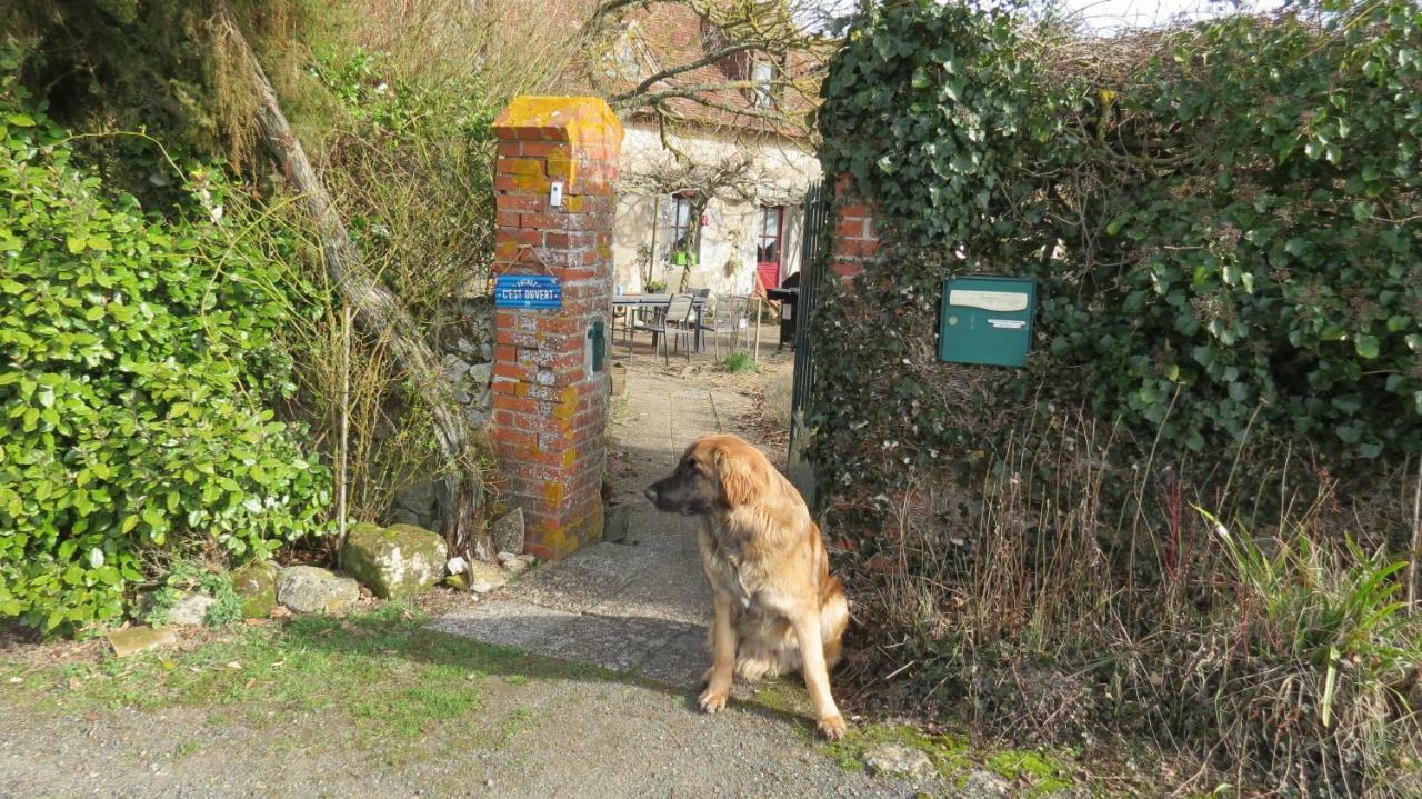 La Fosse Seche Bed & Breakfast Dolus-le-Sec Exterior foto