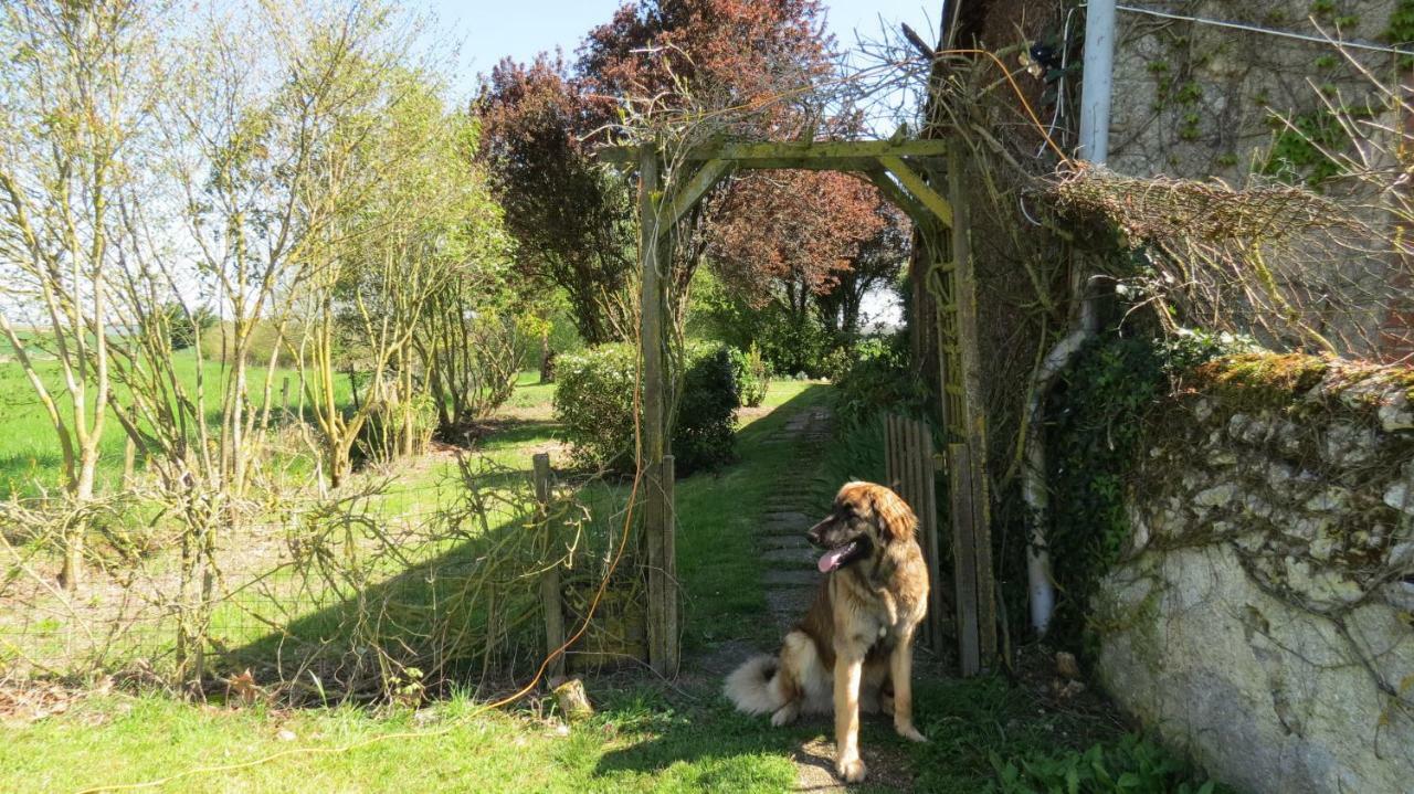 La Fosse Seche Bed & Breakfast Dolus-le-Sec Exterior foto